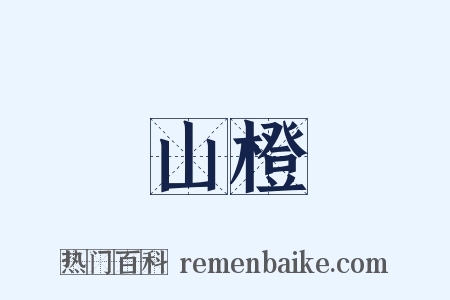 山橙是什么意思的图片